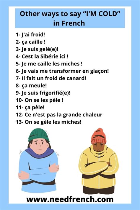 froidis|froidis‎ (French): meaning, definition .